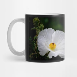 Waiting for You - Mexican Prickly Poppy Mug